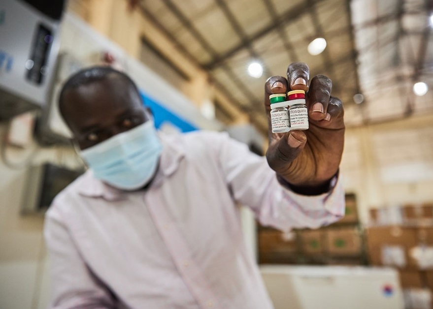 가비, 말라리아 백신 출시 지원을 위한 애플리케이션 공개 이미지
