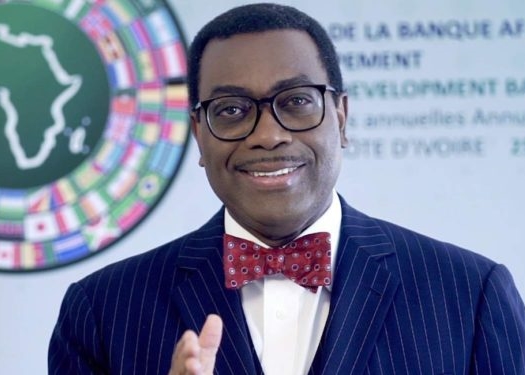 AfDB to deliver certified wheat, seeds to 20m farmers – Adesina 썸네일