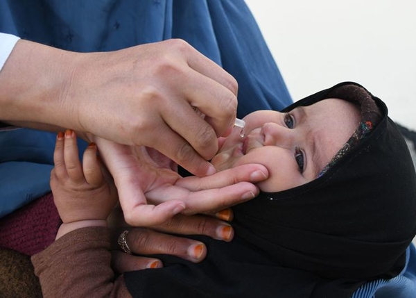 Millions of Afghan children inoculated against measles, polio in 1st Statewide drive since 2021 t... 썸네일