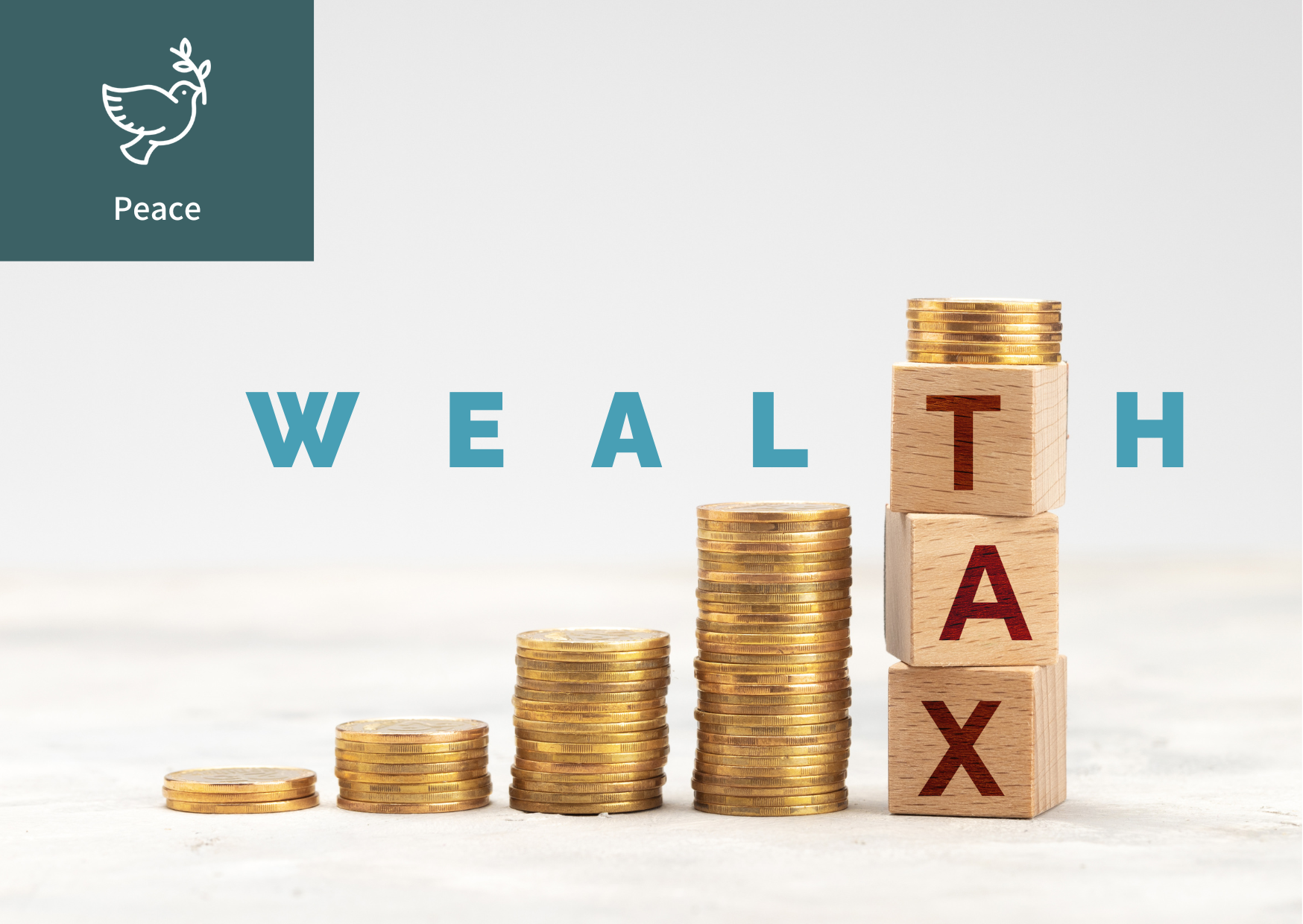 [What is the Wealth Tax?] 이미지