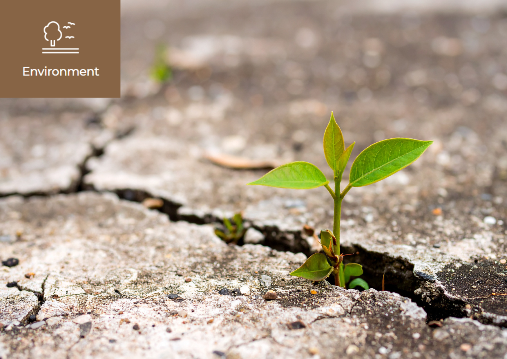 What is Climate Resilience? 이미지