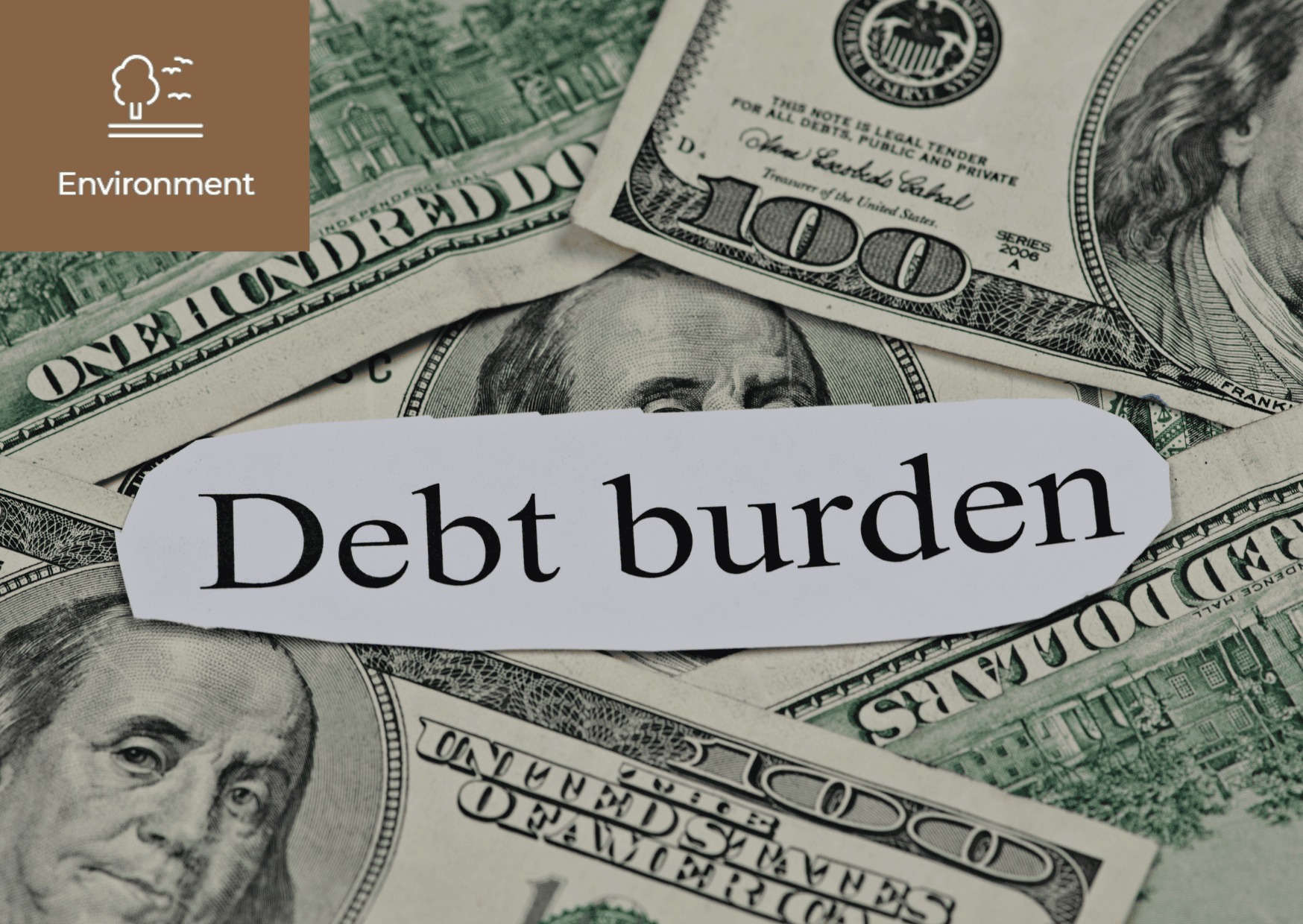 [What is Debt Burden?] 이미지