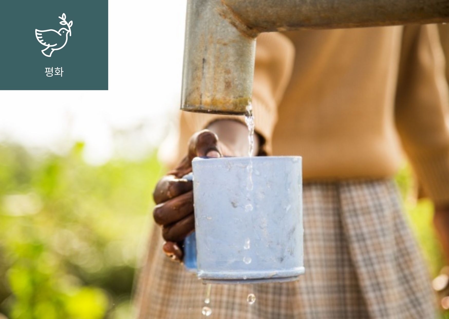 [물 권리 선언(Water Rights)이란?] 이미지