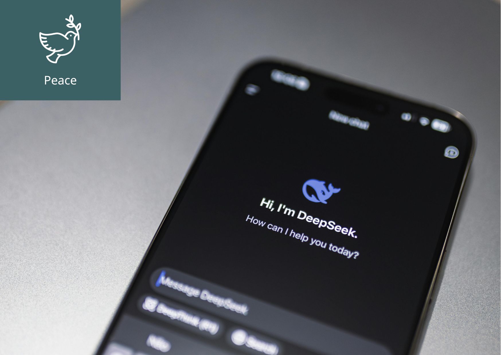 What is AI Activism? 이미지