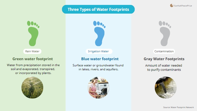 What is a Water Footprint? An Assessment of Water Use Patterns