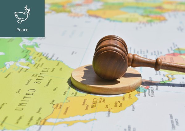 [What Is the International Rule of Law?] 이미지